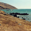 Traveling the Lost Coast Trail in October brings golden grasses and wonderful temperatures.