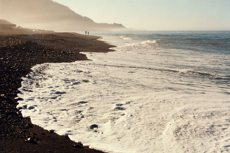 A misty morning greets backpackers along the Lost Coast Trail.