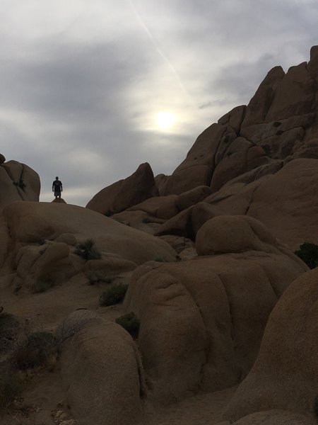 Large boulders are abundant along the Skull Rock Nature Trail.