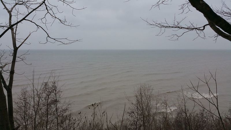 Enjoy pleasant views of the lake from the Erie Bluffs Trail.