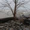 Winter brings harsh views from the sand bar in front of Elk Creek.