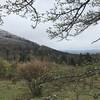 Ice-capped trees survive the elements at the higher elevations. This photo was taken in May!