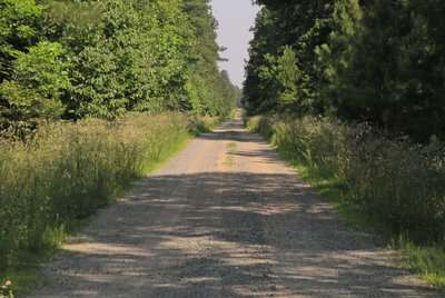 There's miles still to go on the Transis Camp Road.