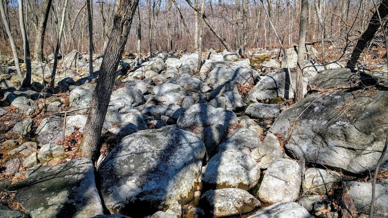 While boulder-hopping on Wyanokie Crest Trail, the yellow blaze is straight ahead.