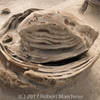 This is one of the "Cracked Eggs" you may encounter in the Bisti De Na Zin Wilderness Area.