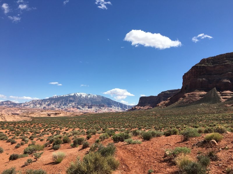 Navajo Mountain stands in the distance along the Reflection Canyon Trail.