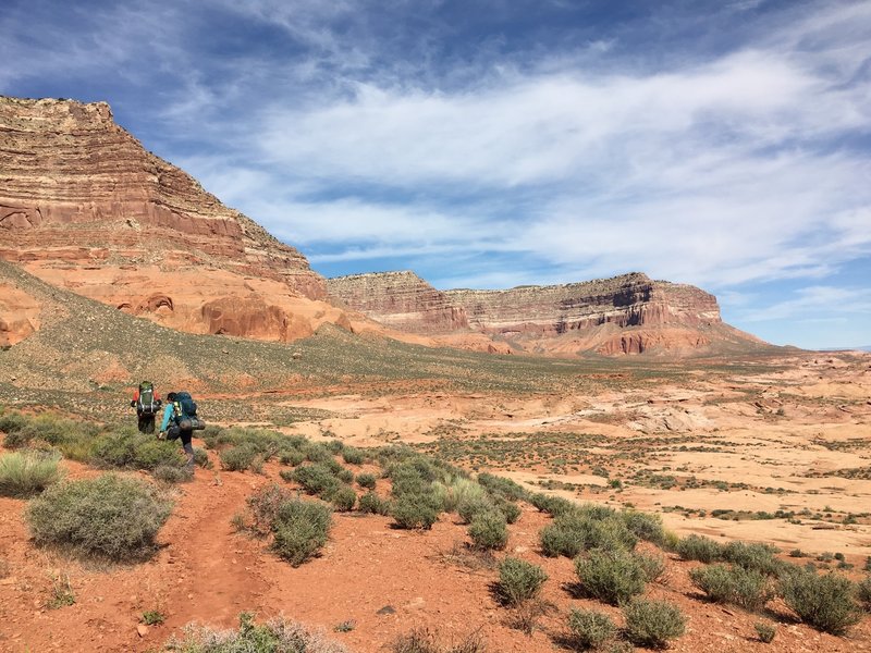 Reflection Canyon Trail keeps up the beautiful scenery heading back to the car.