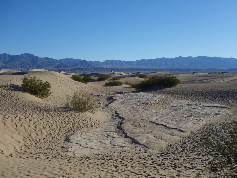 Sandstone makes the base of the Mesquite Sand Dunes.