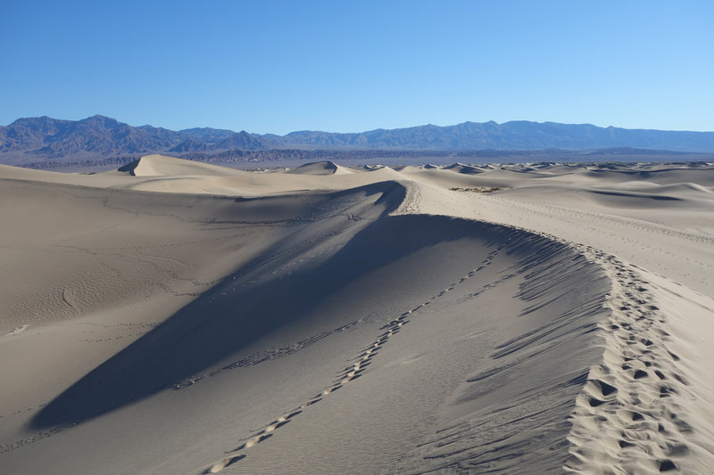 Shadows make a last stand at Mesquite Sand Dunes.