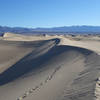 Shadows make a last stand at Mesquite Sand Dunes.