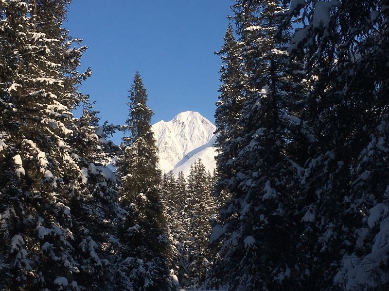 This is just one of several views of the mountains below the timberline.