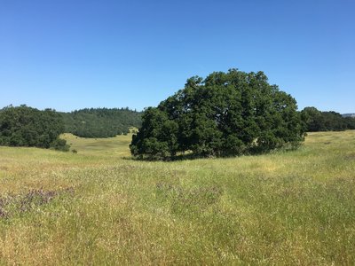 False Lake Meadow is quite beautiful.