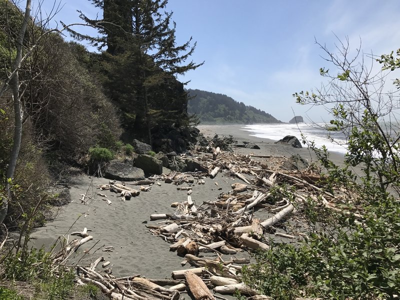 Klamath Beach is home to just a few pieces of driftwood.