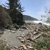 Klamath Beach is home to just a few pieces of driftwood.