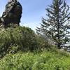 Interesting rocks stand above Klamath Beach.