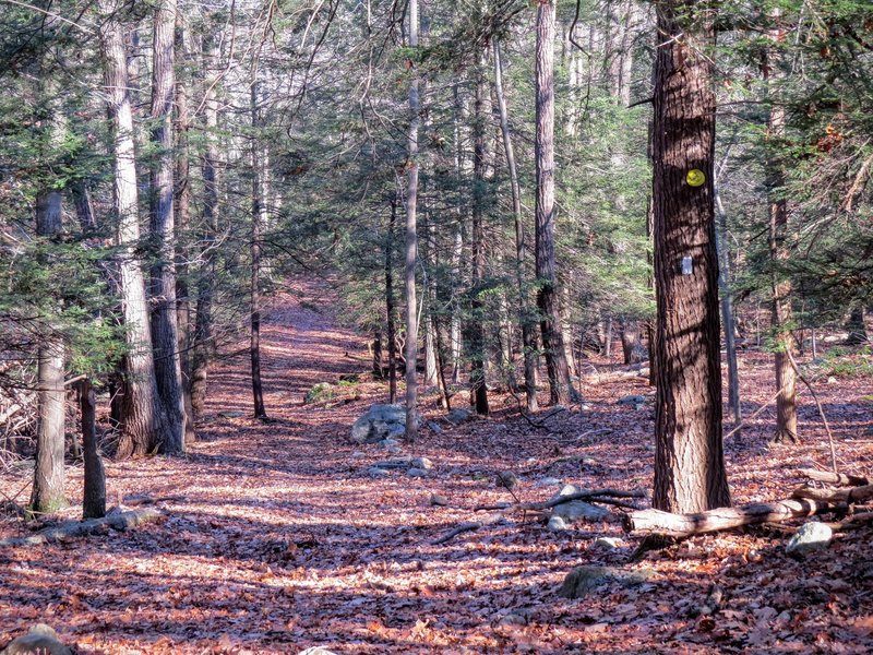 In autumn, the trail remains full of green.