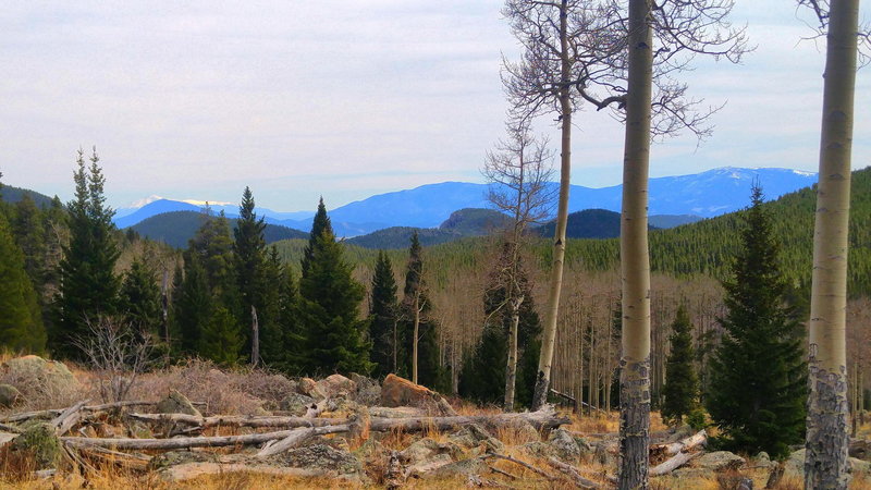 On the trail, look south and slightly west down valley to enjoy beautiful views of North Fork North Elk Creek.