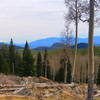 On the trail, look south and slightly west down valley to enjoy beautiful views of North Fork North Elk Creek.