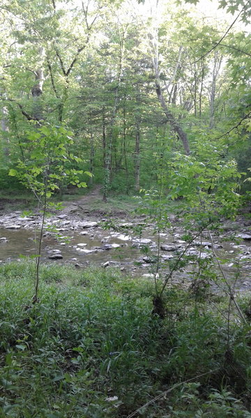 The first creek crossing along the trail is pretty straightforward. Just go slow, and watch your feet!