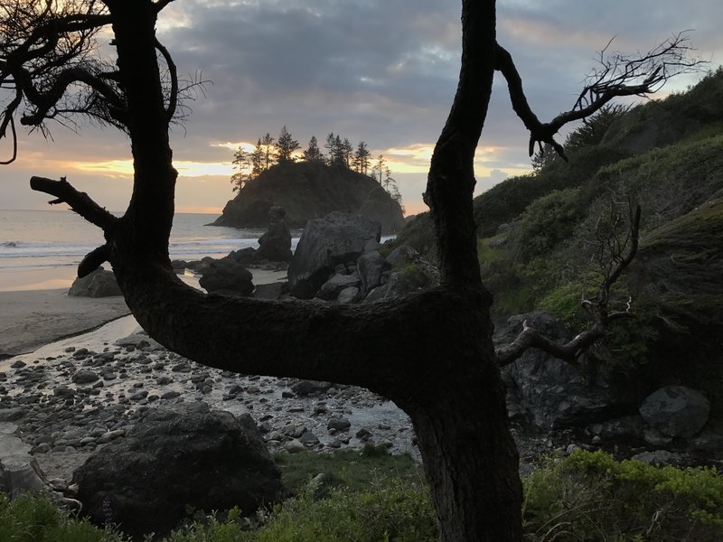 Enjoy spectacular views of Pewetole Island from the College Cove Trail.