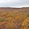 Enjoy vibrant autumn views on Norvin Green State Forest's Hewitt-Butler trail.