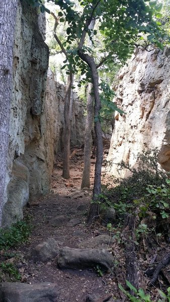 This is just one of the many climbing areas that make up this area. This photo doesn't provide the proper scale to illustrate the size of these walls.