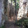 This is just one of the many climbing areas that make up this area. This photo doesn't provide the proper scale to illustrate the size of these walls.