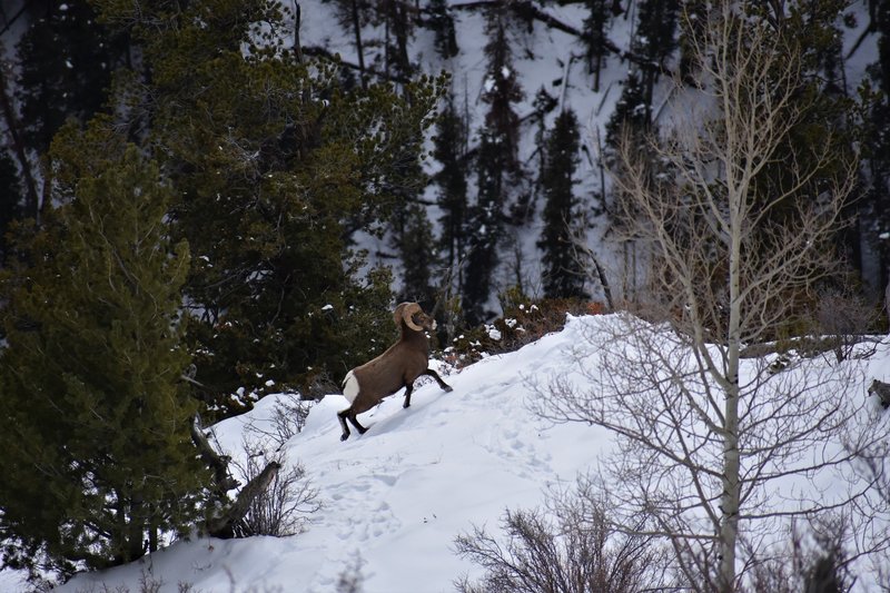 You can still find plenty of life at 10,000 feet.