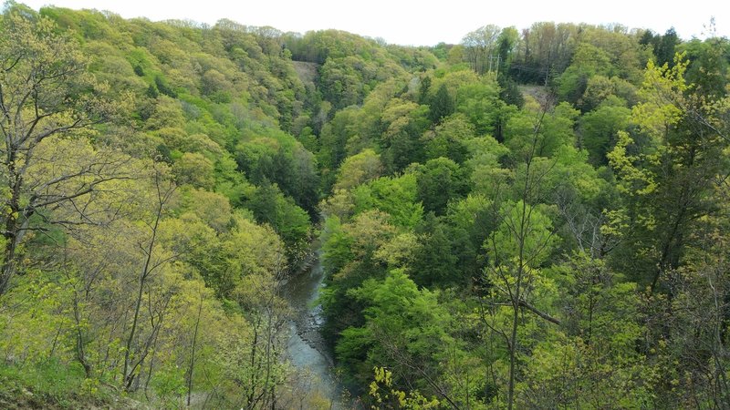 Enjoy a great view down into the Gorge at Fourmile Creek.