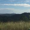 The Gold Coast skyline is gorgeous when viewed from the trail.