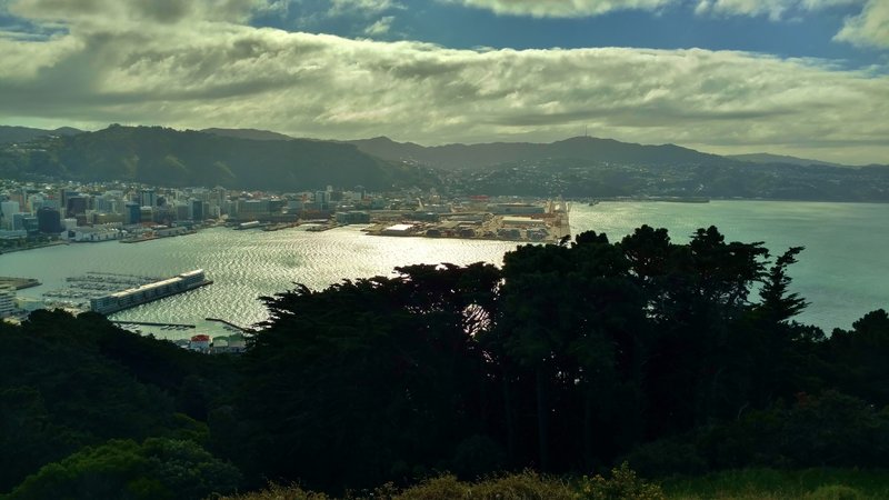 Wellington Harbor is stunning from Mt. Victoria Lookout.