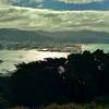 Wellington Harbor is stunning from Mt. Victoria Lookout.