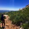 A hiker looks off toward the ocean.