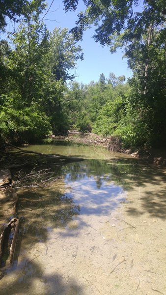 Bull Creek flows gently near the crossing.