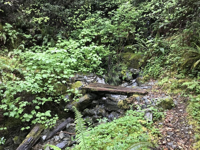 A slippery wooden bridge aids your passage along the Craigs Creek Trail.