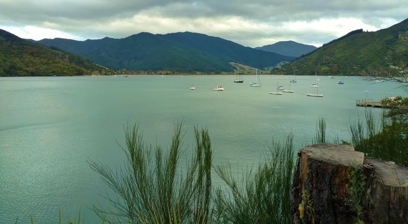 Boats can be seen moored offshore in Queen Charlotte Sound from the Queen Charlotte Track.