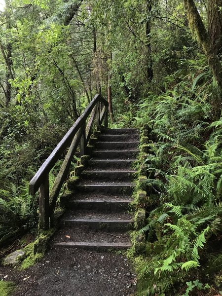 Be careful on this slippery staircase along the River Trail near Stout Grove.