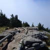 Black Mountain Crest Trail near the Mt. Craig marker.