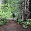 The Stout Grove Trail is worth a visit.