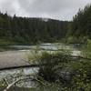 The confluence of Mill Creek and the Smith River is a beautiful scene.