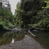 Mill Creek meanders gently into the Smith River.