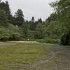 The Mill Creek Horse Trail starts at the end of this parking lot.