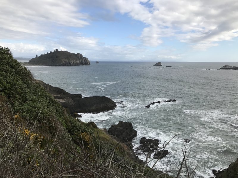 You can glimpse a view of Trinidad Head from the Elk Head Trail.