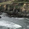 Sea lions rest on the shore off Megwil Point.