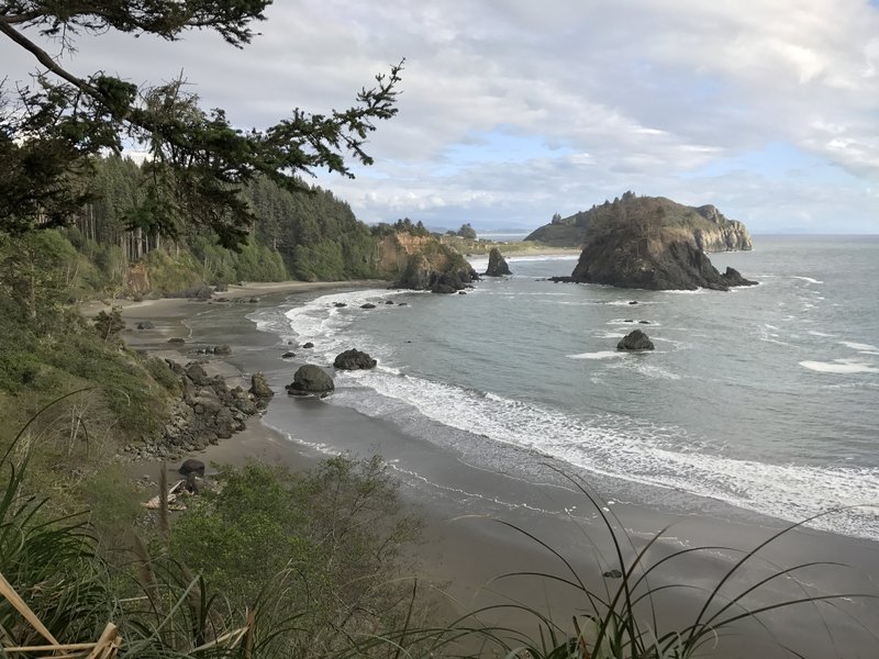 The Elk Head Trail offers a phenomenal view of College Cove Beach and Trinidad Head.