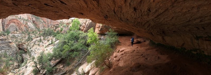 Backpacking the kids up the Canyon Overlook Trail brings rewarding views for the whole family.