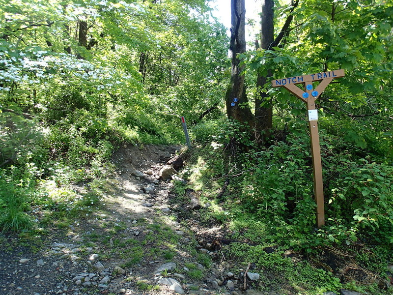 The trailhead is well marked by this sign.