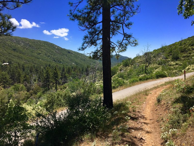 Crossing Pine Creek Road awards gorgeous views of the surrounding hills.