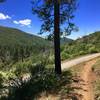 Crossing Pine Creek Road awards gorgeous views of the surrounding hills.