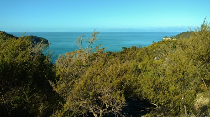 Looking east from the Abel Tasman Track above Observation Beach, enjoy a stunning view of Tasman Bay.